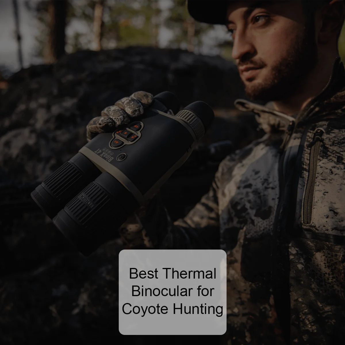 Best Thermal Binocular For Coyote Hunting