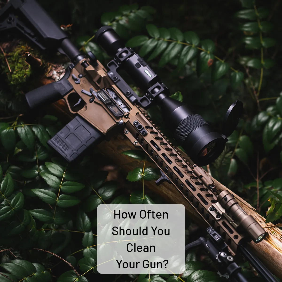 How often should you clean your gun?