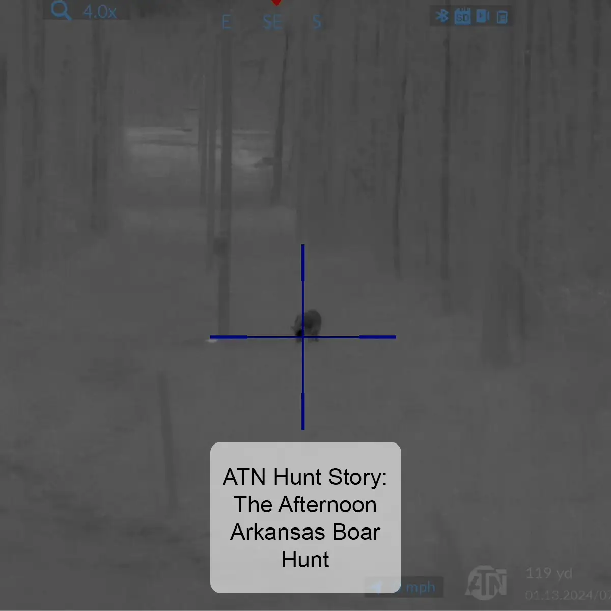ATN Hunt Story : The Afternoon Arkansas Boar Hunt