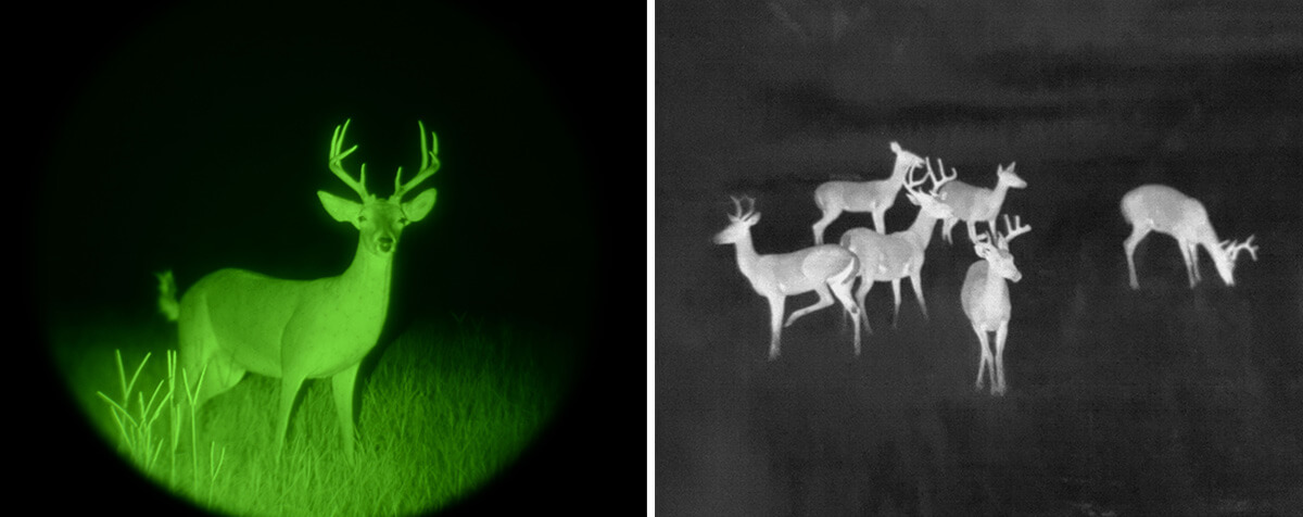 Differences Between Thermal Imaging and Digital Day/Night